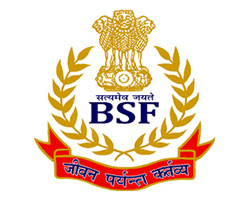 BSF