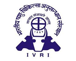 ivri-logo